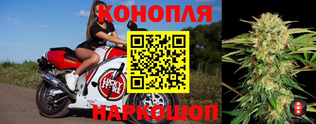 Улан-Удэ  Канабис план  Канабис конопля  Вход с VPN  Канабис гибрид 